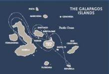 Athala, Galapagos Genevosa Cruise ex Baltra Return